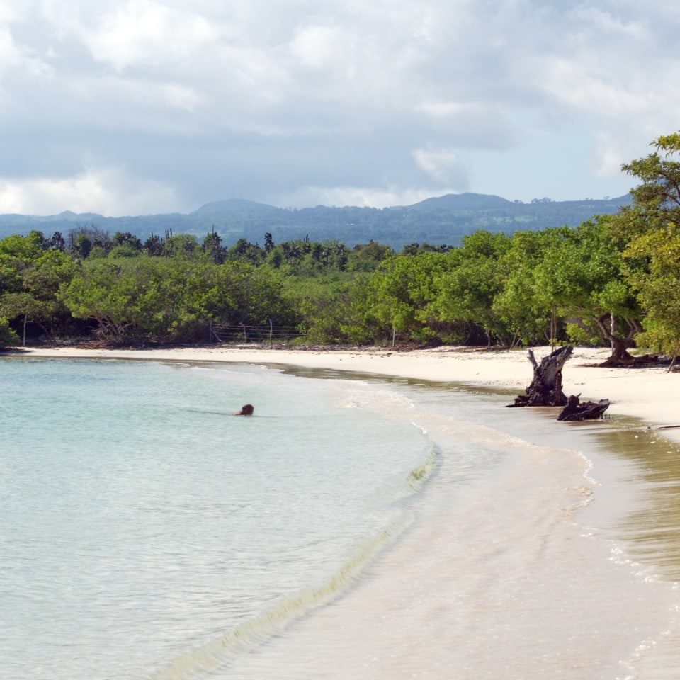 Inselhüpfen auf den Galapagos (lang)